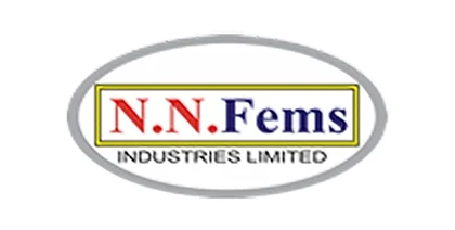 NNFEMS